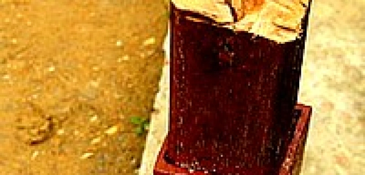 Przemyśl: W miejsce zbeszczeszczonych krzyży postawiono nowe 