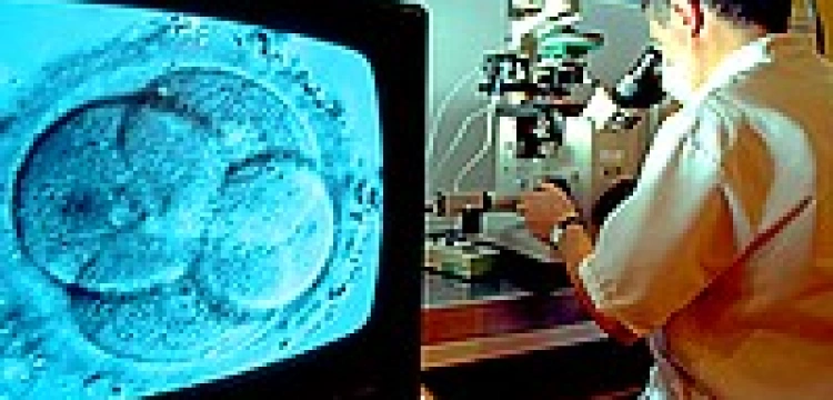 Spór wokół przypomnienia biskupiej Rady ds. Rodziny, że nie ma komunii za uczestnictwo w in vitro