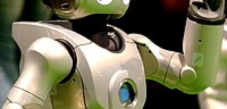 Robot udzielił ślubu