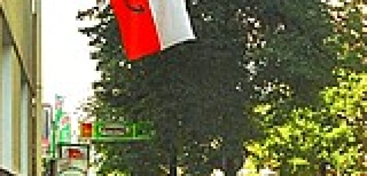 Flaga narodowa na każdym  budynku. Nie obowiązkowa, ale zalecana