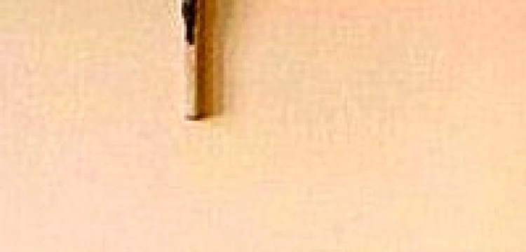 Czescy biskupi: Usuwając krzyże Trybunał przeczy sam sobie