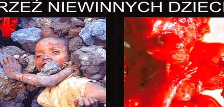 Burmistrz Żywca złamał prawo zakazując wystawy "Wybierz życie"