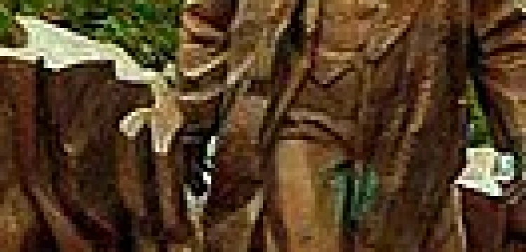 Kult spiżowego Lenina we wsi Swoboda koło Józefowa 