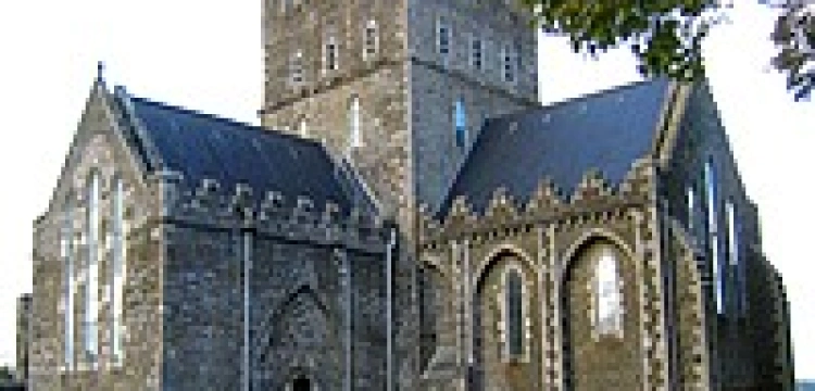 Kolejny irlandzki biskup złożył rezygnację na ręce papieża