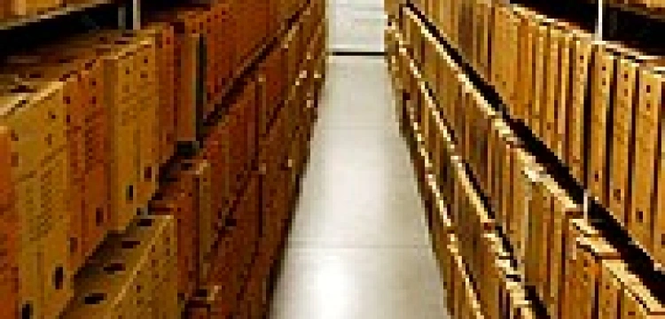 PO zamiast za oczyszczenie z afer, bierze się za IPN