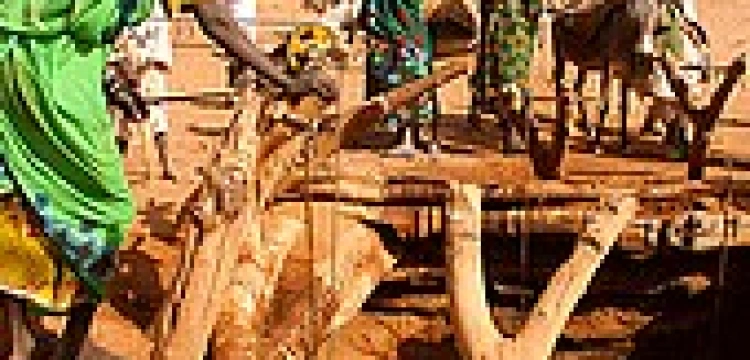 „Międzynarodowe koncerny rozdrapują bogactwa Afryki”