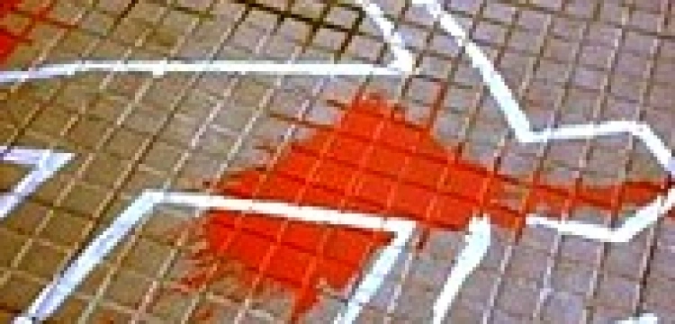 Dociekliwy meksykański dziennikarz został zamordowany