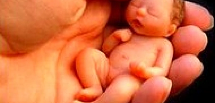 Bp Skworc do lekarzy i duszpasterzy: Poronienie to nie jednostka chorobowa tylko tragedia