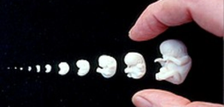 "Bardziej świadomie skoncentrować się na wychowaniu jednego dziecka..." 