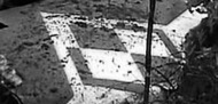 Michnik dziękuje braciom Moskalom. Ze strony Putina wystarczą mu tylko gesty?