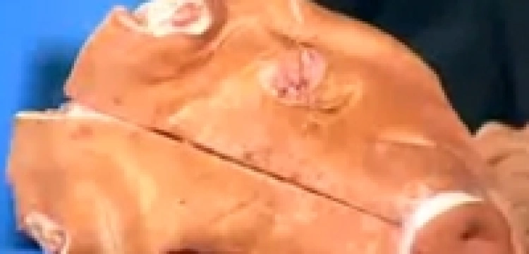 „Nie ma klikania na tego drania”