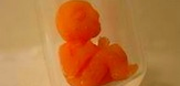 Irlandzka konstytucja nie chroni dzieci z próbówki - stwierdził Sąd Najwyższy