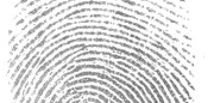 Jak sprawdzić, czy młodzież uczestniczy we Mszach Świętych?