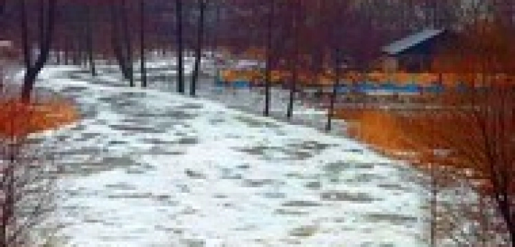 Papież pomaga powodzianom