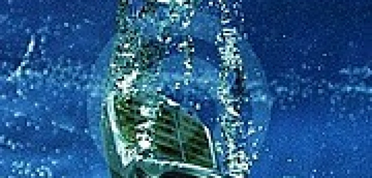 Kobiety na falach, ale bez telefonów