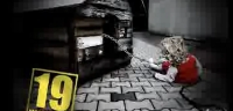 Dla obrońców zwierząt dziecko niczym pies