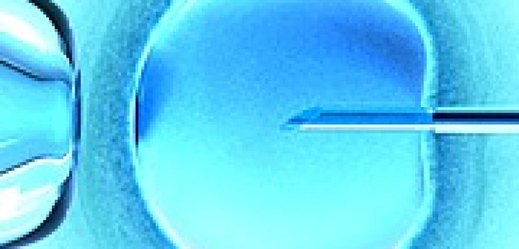 Niemiecki Trybunał otwiera drogę do selekcji zarodków