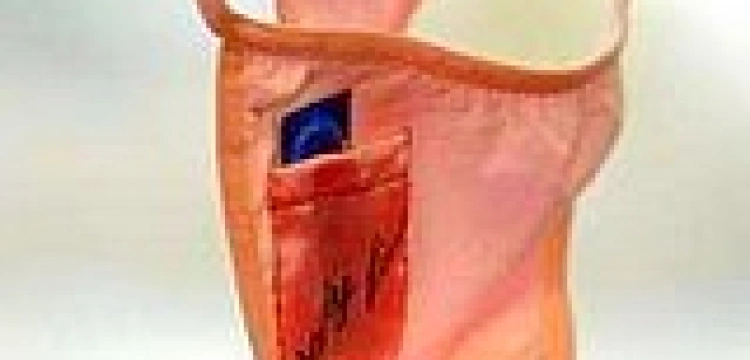 Powstrzymać powszechną "erotyzację" dzieci i młodzieży