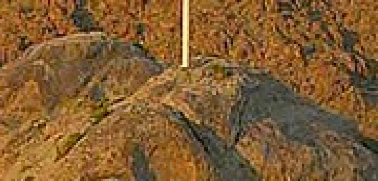 USA: Obronili krzyż