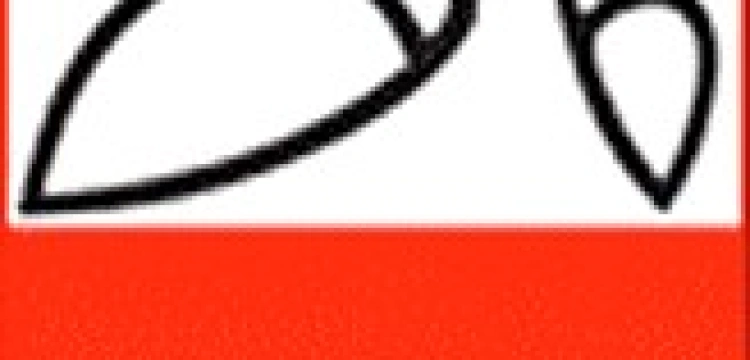 Posłanka PO na czele „Wspólnoty Polskiej” 