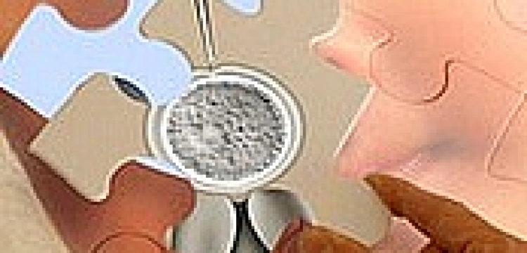 Targi sztucznego zapłodnienia w Londynie