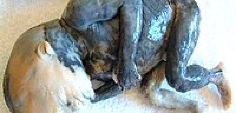 Wiemy, dlaczego wybierają śmierć dziecka