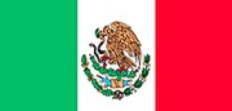 Meksyk nadal przeciwko rodzinie