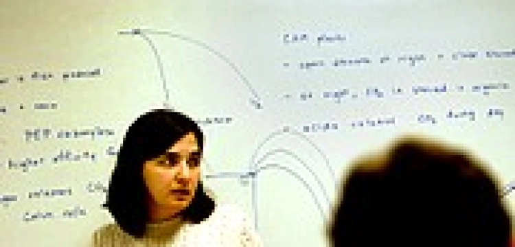 Obrońcy krzyży piszą e-maile do Minister Edukacji