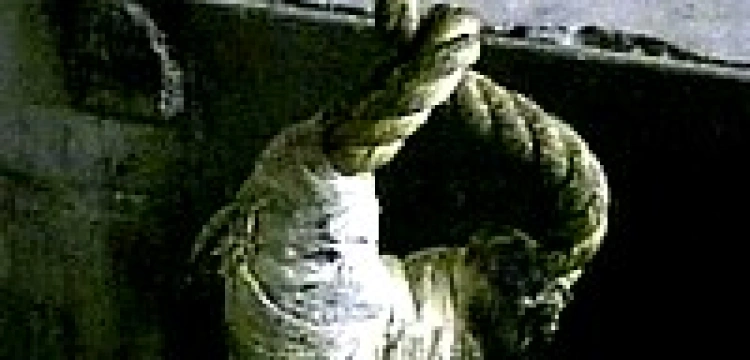 Władze Rosji rozważają powrót do kary śmierci