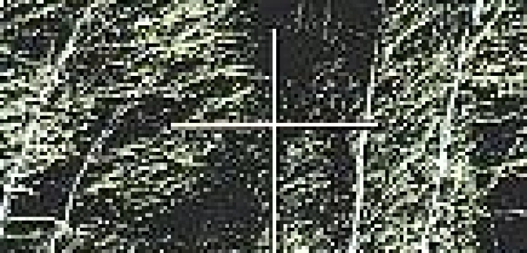 "ŚPIJ, MĘŻNY w Katyniu, Charkowie i Miednoje" - wznowienie w rocznicę katastrofy 