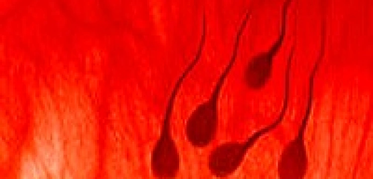 Sąd przyznał matce prawo do pobrania spermy od zmarłego syna