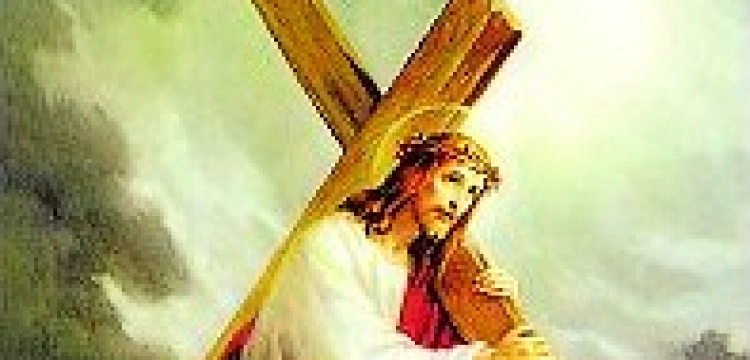 Komórkowa droga krzyżowa w USA