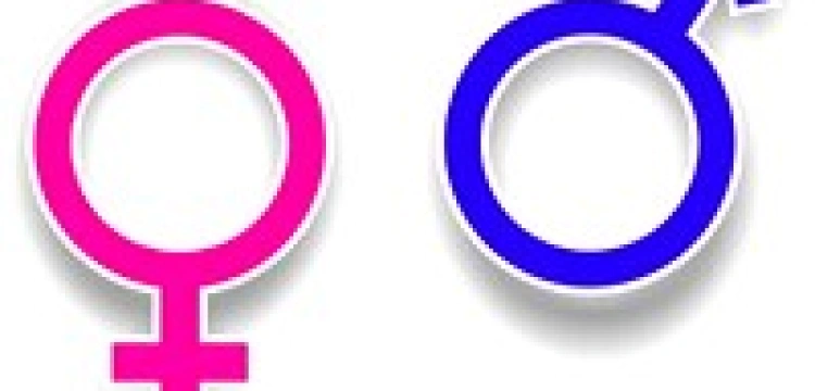 Płeć to kwestia roli społecznej? 