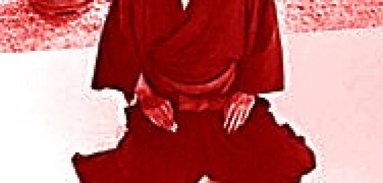 Czy polscy biskupi popełnili harakiri?