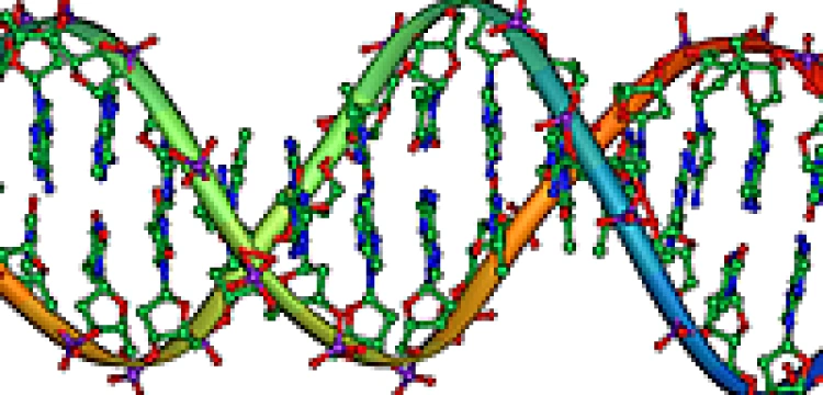 Frankenstein czy przełom naukowy? A co na to Watykan?