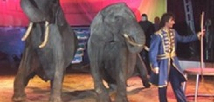 Kościół uznaje wartość cyrków