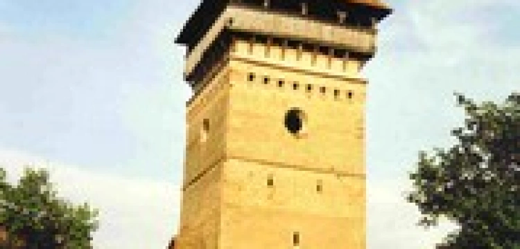 Szwajcaria: Protestanci bronią minaretów, a islamiści atakują chór kościelny