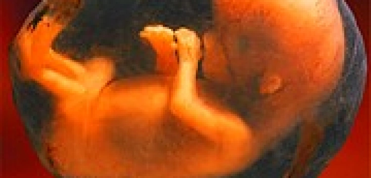 Liczba aborcji się zmniejszyła, aborcjoniści są wściekli