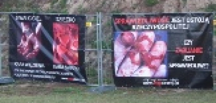 Skradziono wystawę antyaborcyjną w Olsztynie