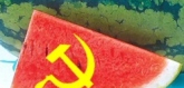 Kardynał krytykuje “zielonych"