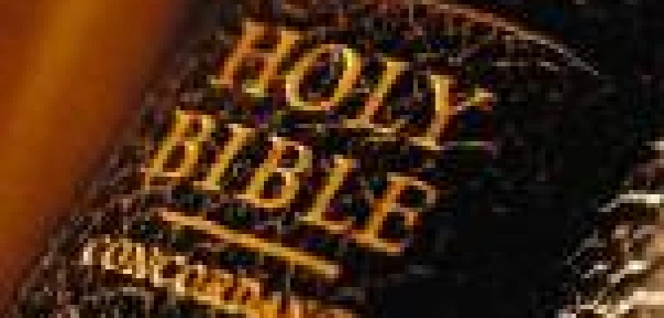 Biblia zezwala na prostytucję, homoseksualizm i seks przedmałżeński?