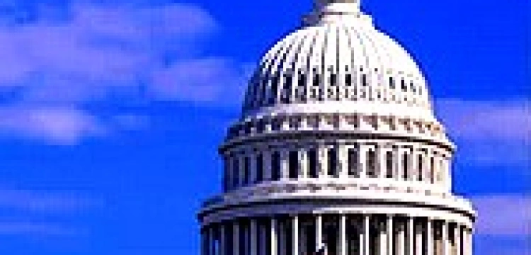 Biskupi wzywają do mądrego głosowania