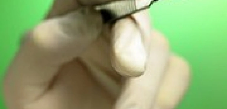 Na patologie społeczne milicja "zaleca" sterylizację