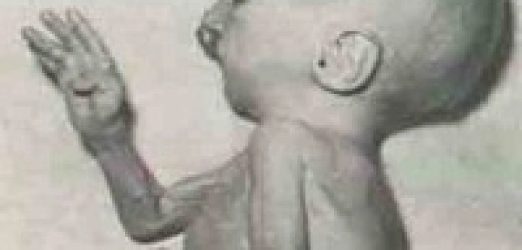 Amerykański polityk o ciężko chorym dziecku: To dar od Boga