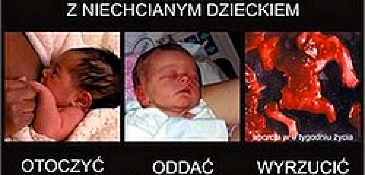 Fundacja Pro do Owsiaka: Kto zniszczył wystawę?