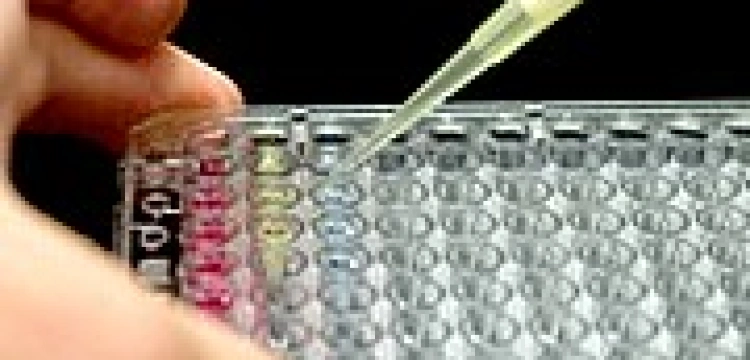 In vitro - prosta droga do kalectwa