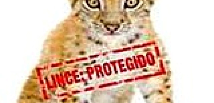 Hiszpanie bardziej chronią zwierzęta niż ludzi 