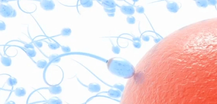 Klucz do człowieczeństwa