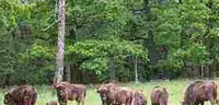 "Gazeta Wyborcza" drukarką Ministerstwa Środowiska