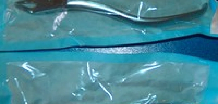 Polityk oferuje pieniądze za dobrowolną sterylizację